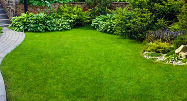 Lawn maintenance/ Grass cutting