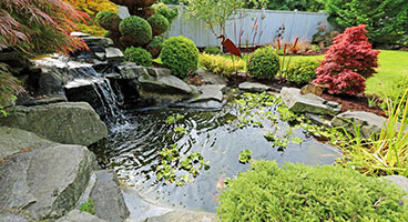Ponds & Pools